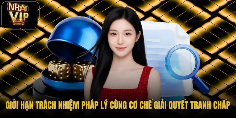 gioi-han-trach-nhiem-phap-ly-cung-co-che-giai-quyet-tranh-chap gioi-han-trach-nhiem-phap-ly-cung-co-che-giai-quyet-tranh-chap